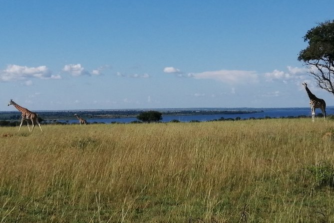 3 Days 2 Nights, Murchison Falls And Wildlife Safari - Key points to know before you go