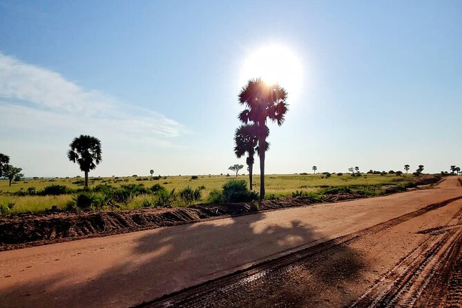 3 Days 2 Nights, Murchison Falls And Wildlife Safari - A private safari changes the pace