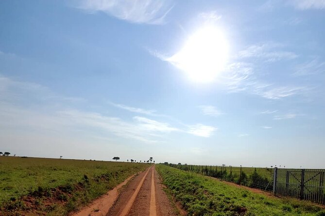 3 Days 2 Nights, Murchison Falls And Wildlife Safari - The food, comfort, and practical rhythm
