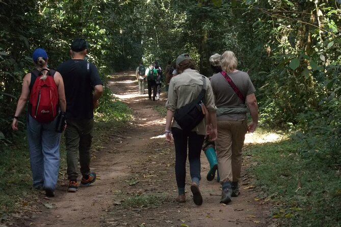 3 Days Bwindi Gorilla Trekking tour - Why Bwindi makes this three-day trip special