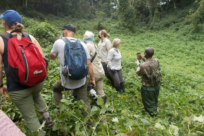 3 Days Bwindi Gorilla Trekking tour - The guide can make or break the road days