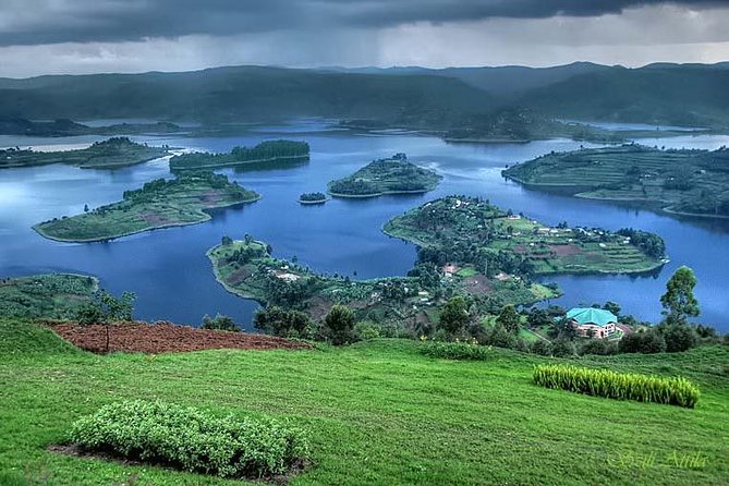 3 Days Bwindi Gorilla Trekking tour - Day 2: The Bwindi gorilla trek and Lake Bunyonyi