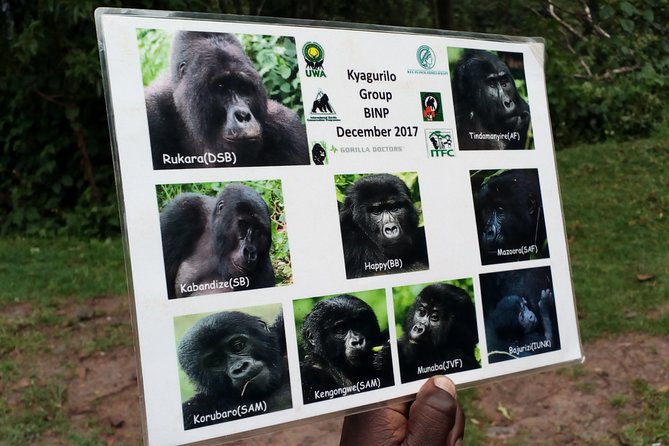 3 Days Gorilla trekking Safari Uganda, Bwindi Impenetrable Forest - The long road from Kampala to Bwindi