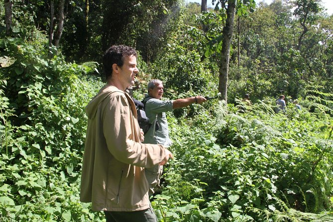 3 Days Gorilla trekking tour - The equator crossing and Mbarara lunch stop