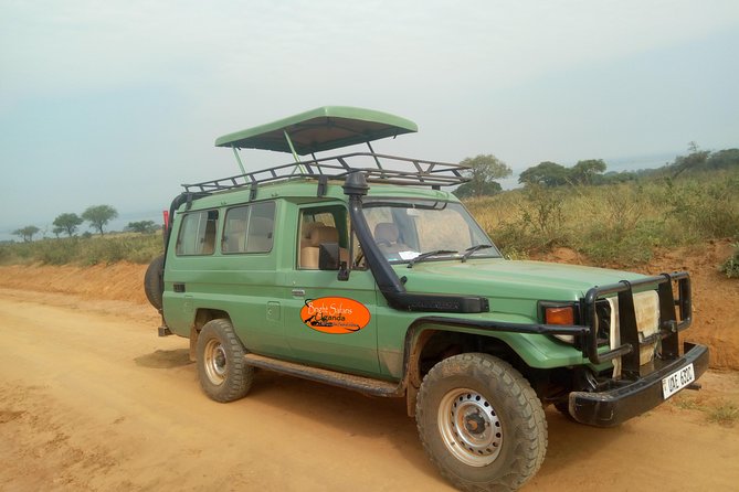 3 Days Lake Bunyonyi and Gorilla Trekking Tour in Uganda - How the $2,194.88 price measures up