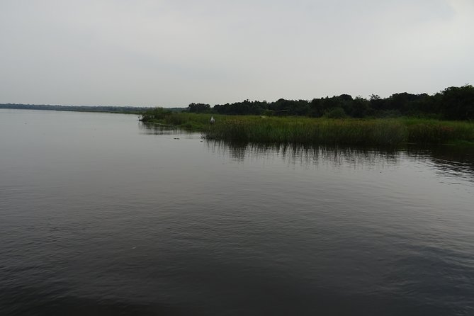 3 Days Lake Bunyonyi and Gorilla Trekking Tour in Uganda - Bwindi turns the second day into a real expedition