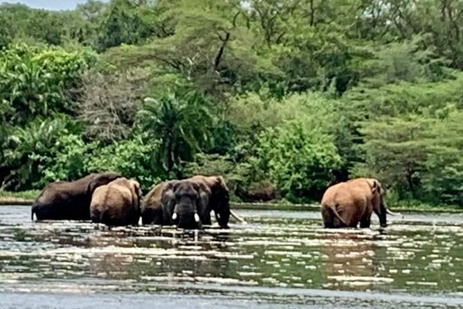 3 Days magical Murchison falls safari - What the $1,115 price includes