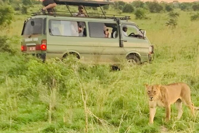 3 Days magical Murchison falls safari - Who should book this safari