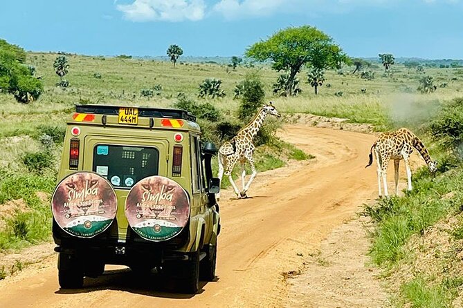3 days Murchison Falls, Boat cruise and wildlife game viewing - Day 2: Early game viewing and the Victoria Nile