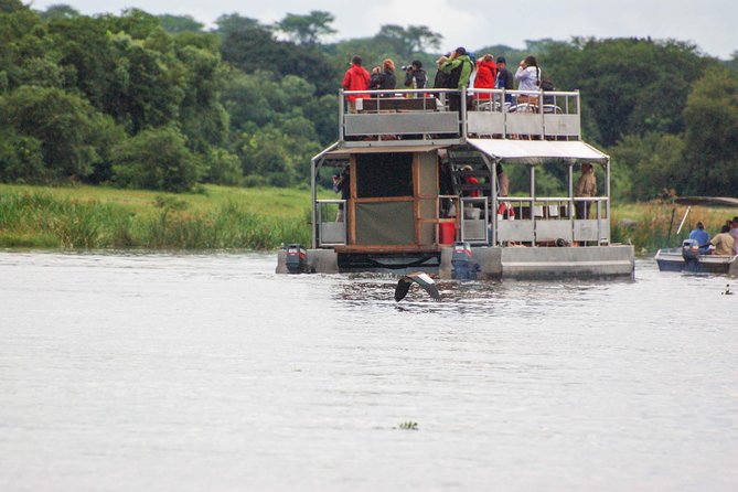 3 days Murchison Falls, Boat cruise and wildlife game viewing - What the private guide adds