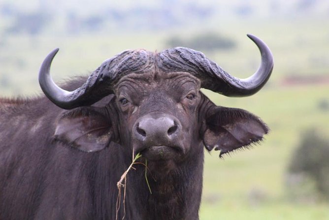 3 Days Murchison Falls Holiday Safari - A closer look at Mubaku community life