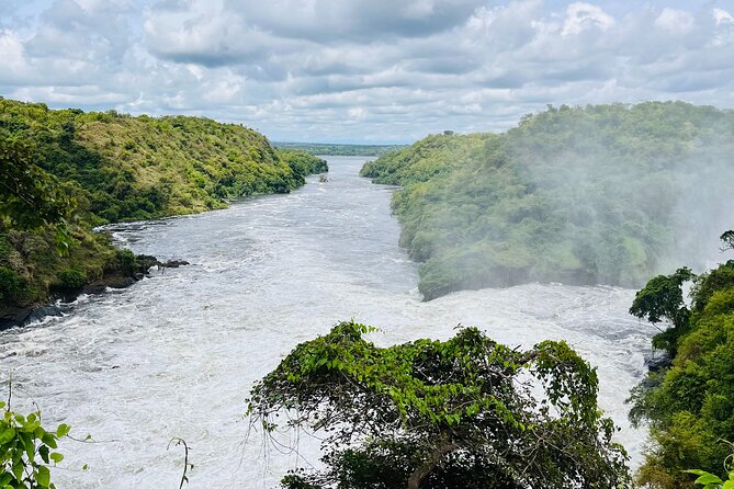 3 Days Murchison Falls National Park Safari & Rhino tracking - Key points to know before booking