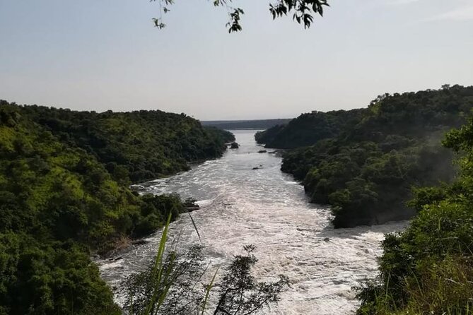 3 Days Murchison Falls National Park Safari & Rhino tracking - Seeing the Nile forced through an 8-meter gap