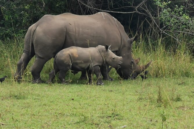 3 Days Murchison falls park Uganda - Seeing Murchison Falls from the top