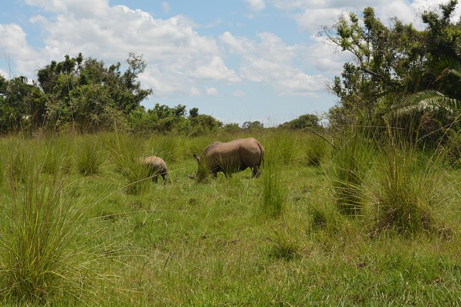 3-Days Murchison Falls Vacation Including Big 5 Sighting! - Who Should Book This Safari