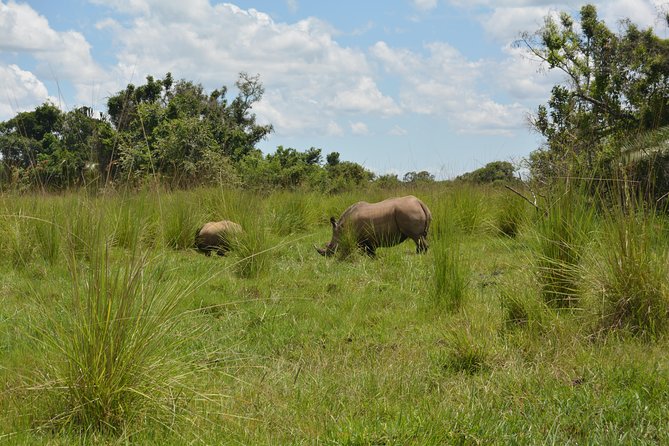 3-Days Murchison Falls Vacation Including Big 5 Sighting! - Day Two: Game Drive Across the Northern Plains