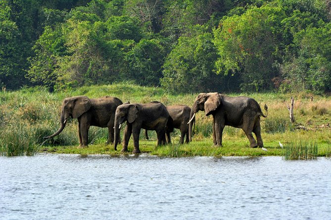 3 Days Murchison Falls Wildlife Safari - Why the Nile makes this safari special