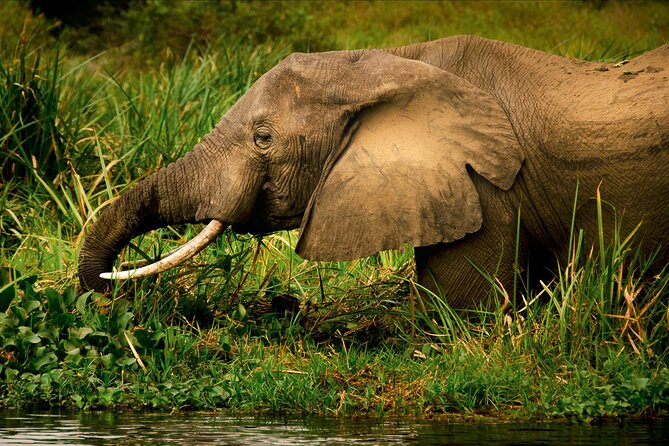 3 Days Private Tour in Murchison Falls National Park - Reaching Uganda’s largest national park