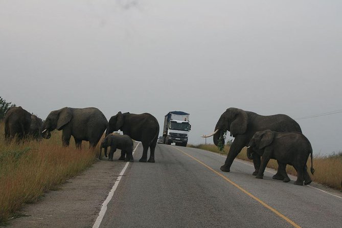 3 days Queen Elizabeth National Park Uganda Safari - Accommodation, food, and comfort on the road
