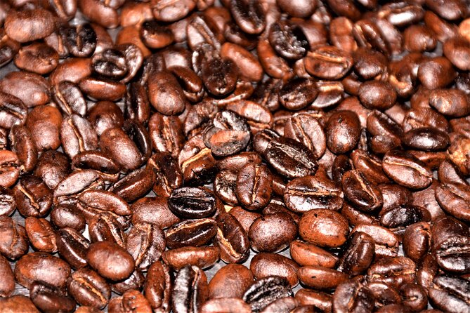 3 Days sipi falls tours and coffee - What the $100 price really covers