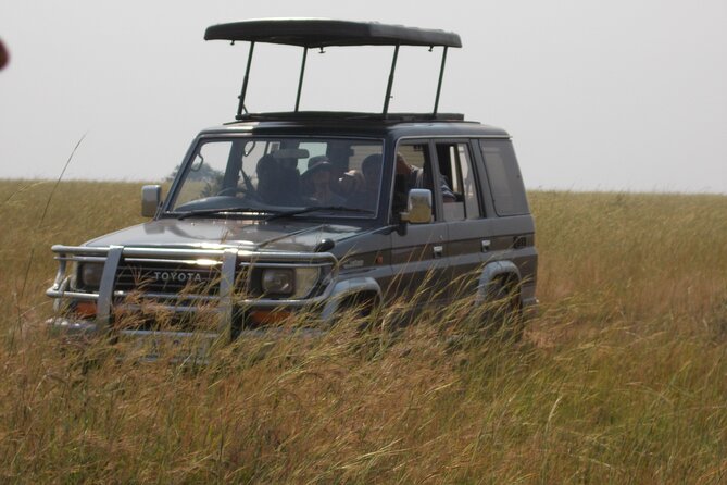 3 Days Trip To Murchison Falls - The Nile boat cruise and the park from the water