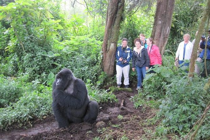 3 days Uganda Gorilla safari tour with relaxation on Lake Bunyonyi - Day 1: Entebbe to Bwindi through southern Uganda