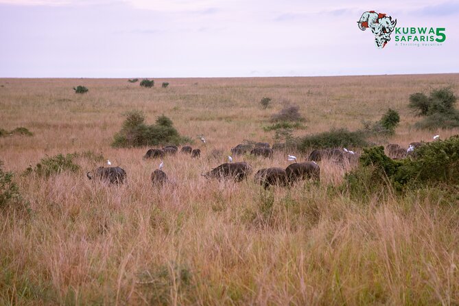 3 Days Wild Tour Queen Elizabeth National Park Safari Uganda - Returning through Masaka and the Equator at Kayabwe