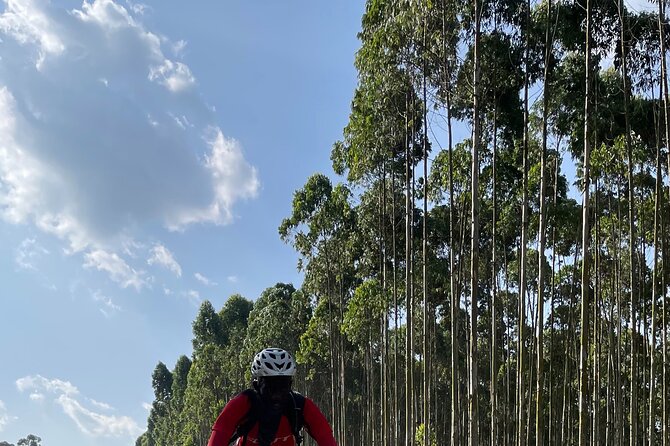 3 Hours Guided Cycling Tour Across Lake Victoria - Is $60 a fair price?