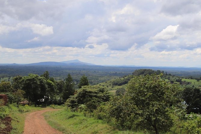 4-Day Gorillas, Wildlife and Chimpanzee Trek at Kalinzu Forest - Fitness, luggage, and sensible preparation