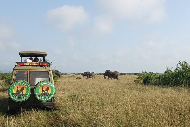 4-Day QENP, Gorillas in Bwindi and Lake Bunyonyi relaxation - Who should choose this trip
