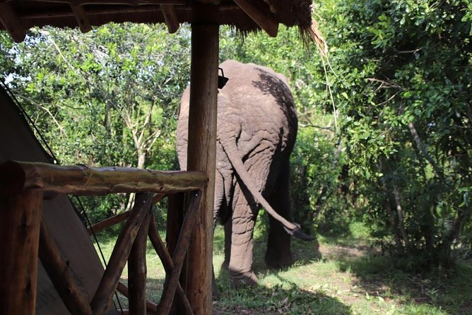 4 Day Uganda Gorilla Trekking Safari with Lake Bunyonyi - Day 3: Mgahinga, Lake Mutanda, or an earlier Lake Bunyonyi stay