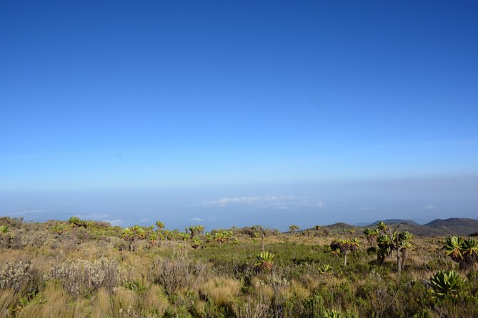 4 Days mount Elgon Trek, 4321m a.s.l - From Entebbe to the eastern foothills