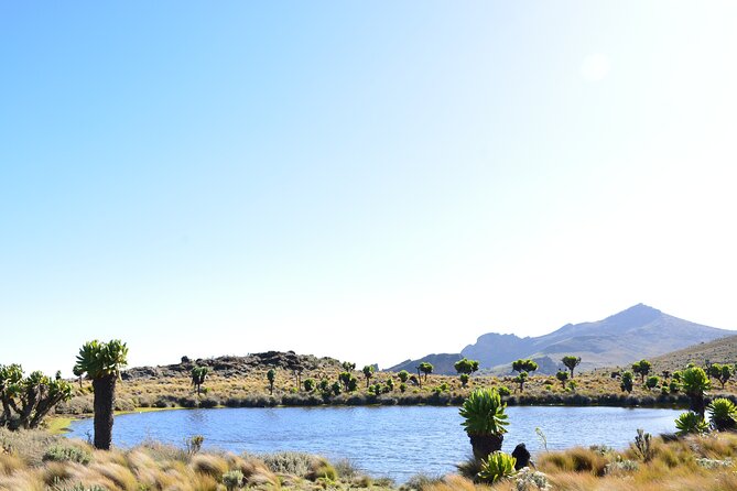 4 Days mount Elgon Trek, 4321m a.s.l - The guide and support team
