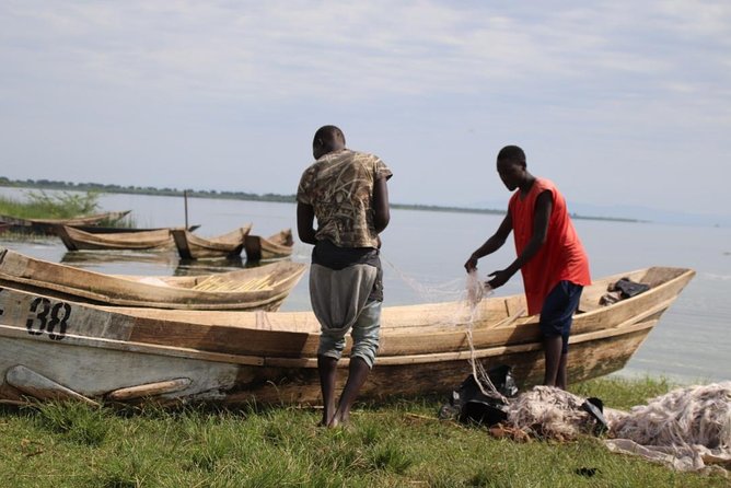 5 Day Gorillas, Wildlife and Kalinzu Forest Chimp Trek - Day four: Kasenyi Plains and the Kazinga Channel