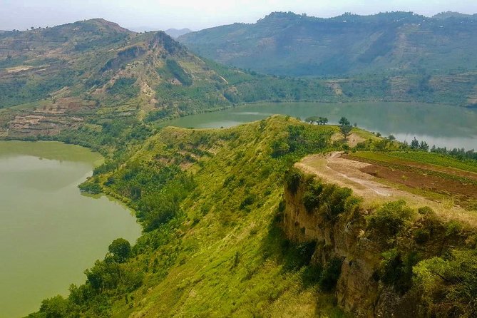 6 Day Gorilla tracking and Wildlife Safari - Day 4: Ishasha lions and Queen Elizabeth wildlife