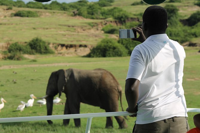 6-Day Queen Elizabeth and Mburo Luxury Safari - Day 1: A soft landing in Entebbe