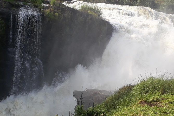 6 Days Chimps, Gorillas & Murchison Falls Africa's Big Five Experience Safari - Day one: the long road to Murchison Falls