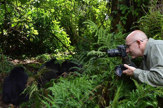 6 Days Chimps, Gorillas & Murchison Falls Africa's Big Five Experience Safari - What the $4,650 price means