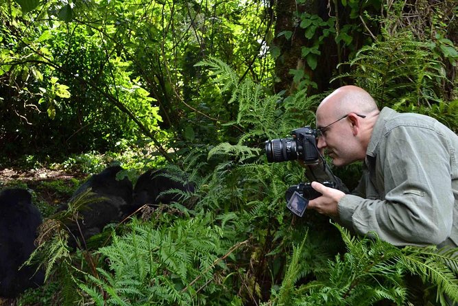 6 Days Chimps, Gorillas & Murchison Falls Africa's Big Five Experience Safari - Food, comfort and the private format