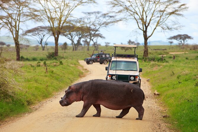 7-Day Private Uganda Gorilla Tracking Safari Tour From Entebbe - Lake Mburo adds zebras and a final boat ride