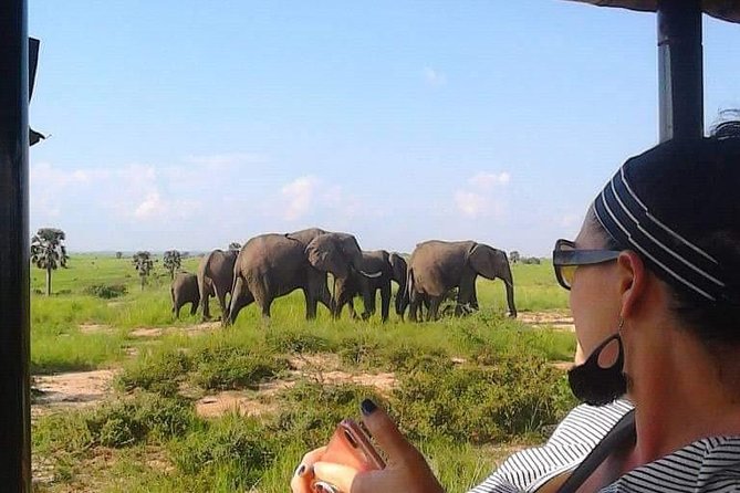 7-Day Uganda Adventure Safari - Midrange Lodges - Day two: rhinos before Murchison Falls