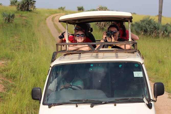 7-Day Uganda Adventure Safari - Midrange Lodges - Day five: Queen Elizabeth and the Kazinga Channel