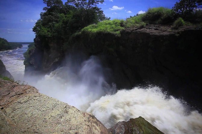 7-Day Uganda Adventure Safari - Midrange Lodges - Day six: northern Queen Elizabeth, then Ishasha