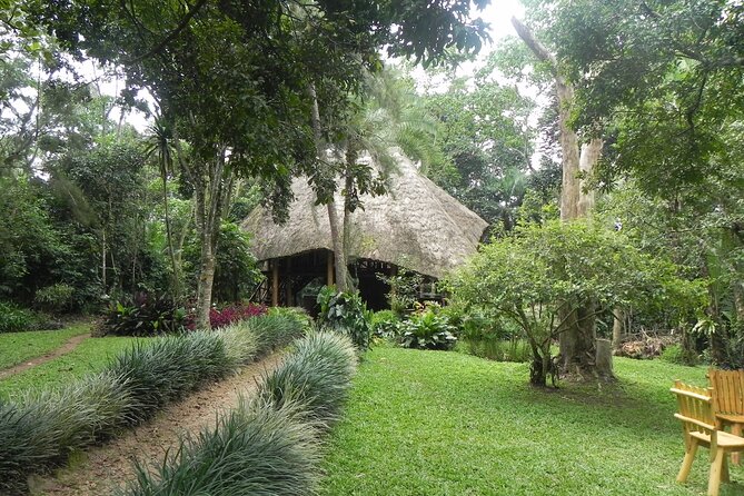 7 Days Flying Gorillas and Wildlife Safari Uganda Private Tour - Day 3: Hippos and crocodiles on the Kazinga Channel
