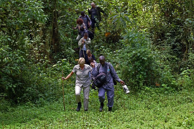 7 Days Flying Gorillas and Wildlife Safari Uganda Private Tour - Day 1: Kibale Forest and the optional Bigodi walk