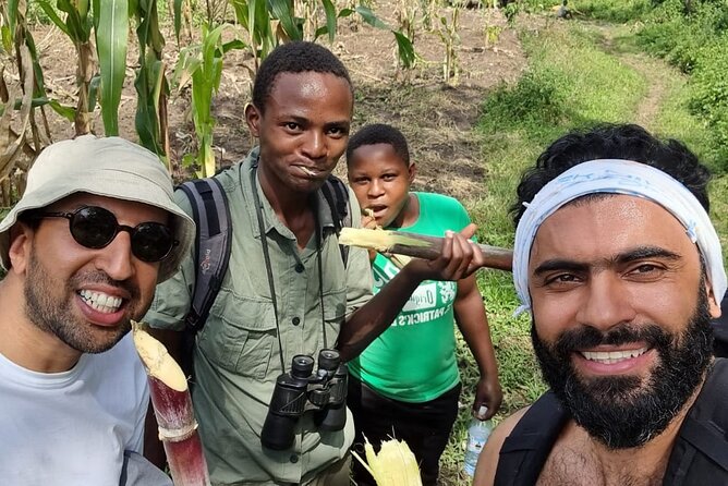 7 Days Fort Portal Culture Tour Western Uganda - Kibale National Park and chimpanzee tracking