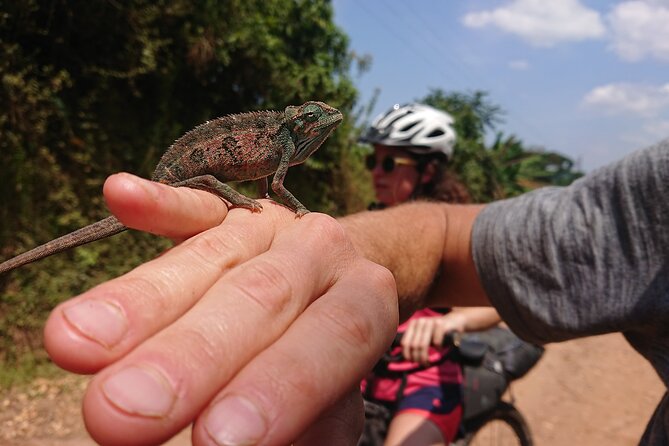 7 Hours Guided Cycling Tour to Sezibwa Waterfalls - How difficult is 70 kilometers?
