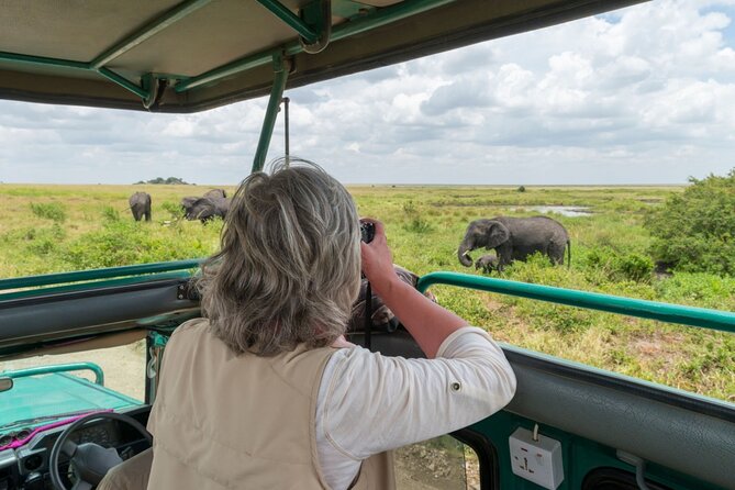 8-Day Classic Uganda Primates & Wildlife Tour - Day 4: The gorilla trek in Bwindi