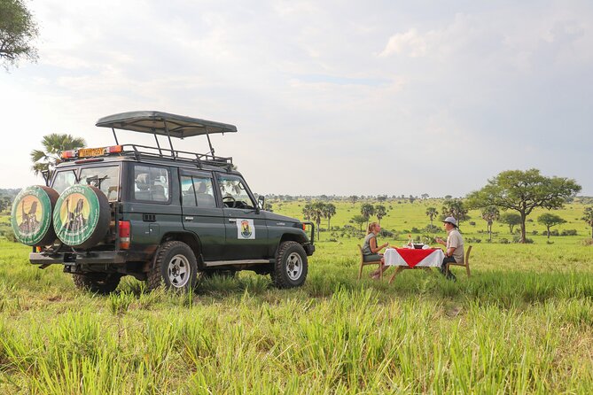 8-Day Private Uganda Big 5 Luxury Safari with Gorillas and Chimps - Day 7: The demanding reward of Bwindi gorilla tracking