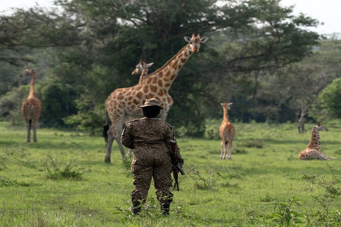 8 Days Uganda Primates Safari - Why this Uganda route works so well